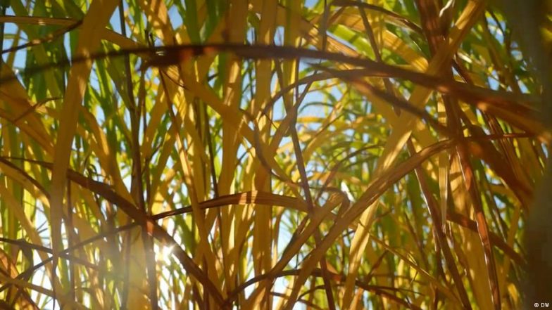 Creative Climate Messaging and Other Eco Wins of the Week