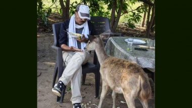 MP Forest Officer Suspended After Viral Video Shows Him Feeding 'Poha' to Sambar Deer as Bollywood Song Plays (Watch)