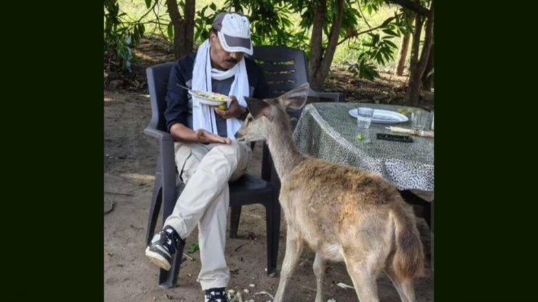 MP Forest Officer Suspended After Viral Video Shows Him Feeding 'Poha' to Sambar Deer as Bollywood Song Plays (Watch)
