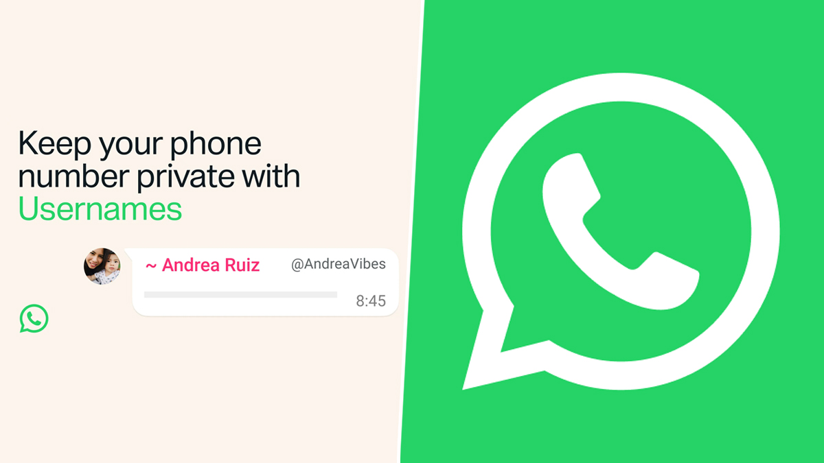 TechBeetle | WhatsApp Username Row: Govt May Set Uniform Standards for Messaging Apps Amid Concerns Over Usernames