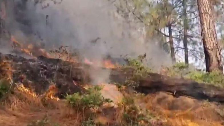 India News | J-K: Massive Forest Fires Break out in Rajouri Amid Heatwave, Dry Spell