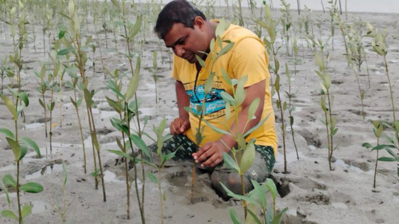 India News | 20,000 Geo-tagged Mangroves Flourish in Sundarbans Under Green India Challenge as Tribute to KCR