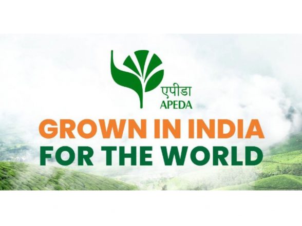 Business News | Uttarakhand's Premium Litchi Enters European Market with First Shipment to Italy