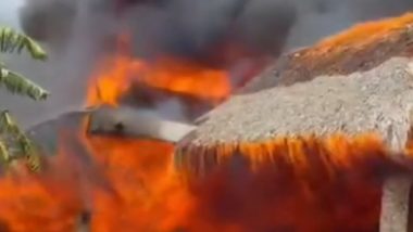 Dominican Republic Fire: Massive Blaze Destroys Viva Dominicus Resort in Bayahibe; 1,700 Tourists Evacuated (Watch Video)