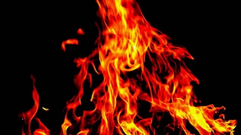 Spain Fire: 2 Killed, Several Injured After Blaze Erupts at Spanish Island of Mallorca