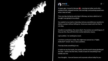 Indian Man in Norway Gets Reprimanded by Manager for Working on Weekends; His Post on 'Indian Work Ethic' Goes Viral