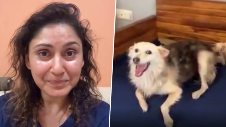 'Community Dogs Who Are Harmless': Actress Manjari Fadnnis Breaks Down Over Alleged Brutal Killing of Society Dog 'Mikey' (Watch Video)