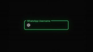 How To Create WhatsApp Username To Chat Without Sharing Phone Number