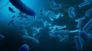 Kerala Shigella Outbreak: Health Department Issues High Alert After Child's Death