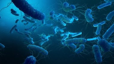 Kerala Shigella Outbreak: Health Department Issues High Alert After Child's Death