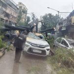 Mumbai Rains: Massive Tree Falls on Marol Military Road in Andheri East, 2 Injured (Watch Video)