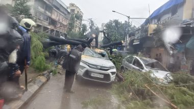 Mumbai Rains: Massive Tree Falls on Marol Military Road in Andheri East, 2 Injured (Watch Video)