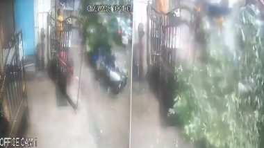 Mumbai Rains: 63-Year-Old Man Dies After Tree Falls on Shop in Kurla, CCTV Video Captures Incident