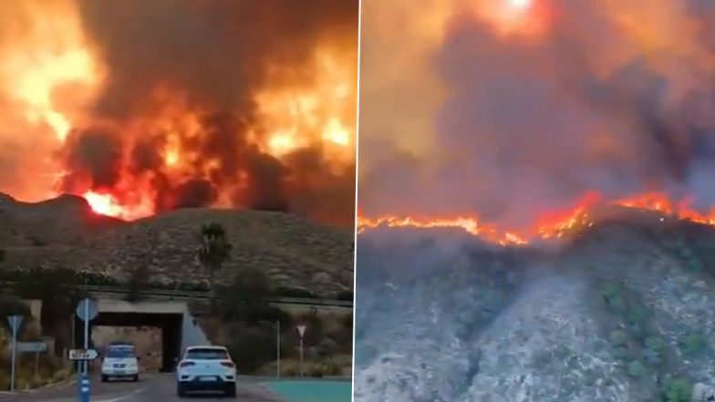 Spain Wildfire Kills 12 as Blazing Heat Fuels Deadly Inferno in Los Gallardos (Watch Videos)