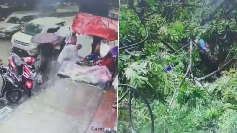 Mumbai Tree Collapse Caught on Camera: 2 Women Seriously Injured in Goregaon