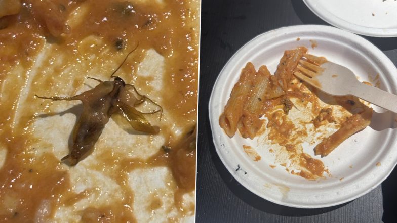 Cockroach Found in Pasta at Pokiddo Junior in Mumbai&rsquo;s Lower Parel (See Pics and Videos)