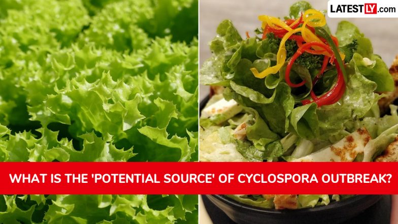 What Is the &lsquo;Potential Source&rsquo; of Cyclospora Outbreak in Michigan?