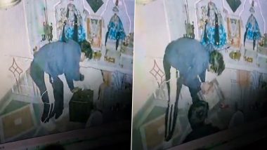 Nagpur: Thieves Apologise to Deity Before Stealing Donation Box at Sheetla Mata Temple in Maharashtra (Video)