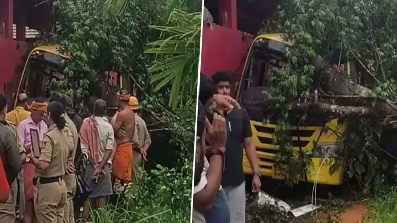 Karnataka School Bus Tragedy: 5-Year-Old UKG Student Killed After Tree Falls on Bus in Dakshina Kannada