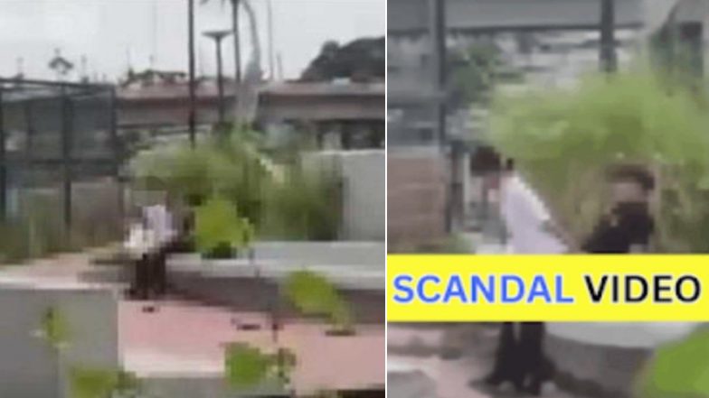Iloilo Esplanade Viral Video: Students Caught Having S*x in Public, Police Warn Public Against Sharing Clip