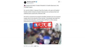 Is the Philippines School Stabbing Viral Video Real? Fact Check Confirms Incident Is True