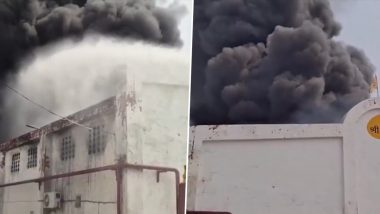 Karnal Factory Fire: Massive Blaze Engulfs Pesticide Plant, Thick Smoke Triggers Panic (Watch Video)