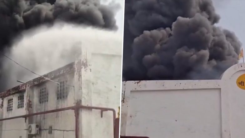 Karnal Factory Fire: Massive Blaze Engulfs Pesticide Plant, Thick Smoke Triggers Panic (Watch Video)