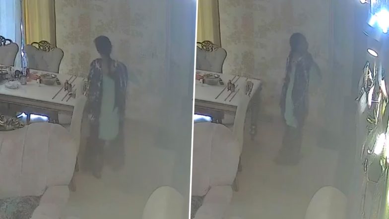 Ghaziabad: Maid Hired for Childcare Allegedly Steals iPhone on First Day, Video Surfaces
