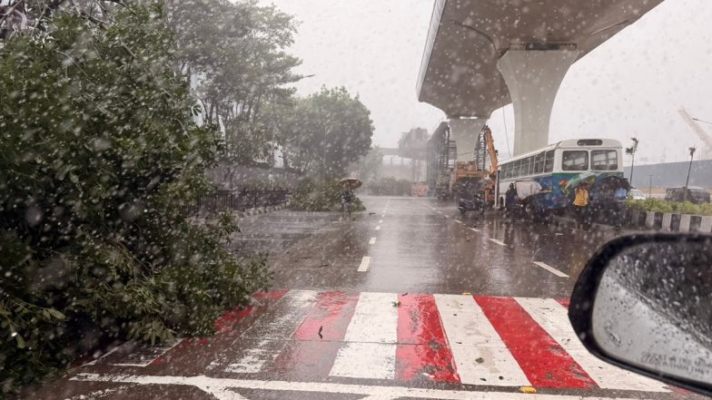 Mumbai Tree Collapse: Large Tree Falls in Bandra Kurla Complex, Road Blocked (See Pic)