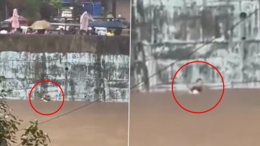 Mumbai Rain Horror: Youth Saved After Falling Into Mithi River in Dahisar (Watch Video)
