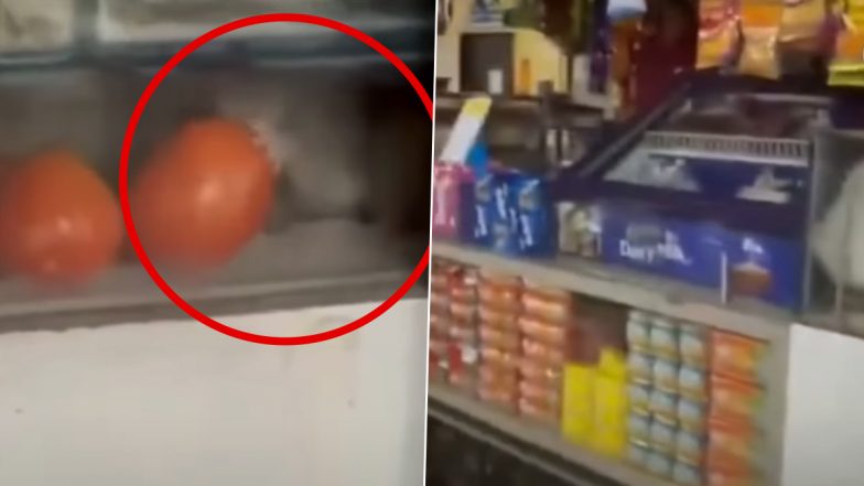 Thane Railway Station Stall Shut for 7 Days After Viral Video Shows Rat Nibbling Tomato