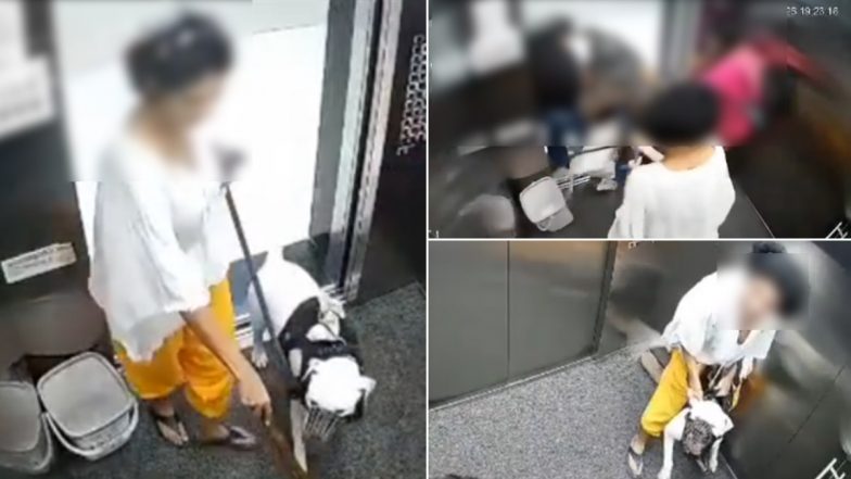 Mumbai Dog Attack Viral Video: Pet Dog Turns Aggressive, Tries To Attack 3 Girls Inside Malad High-Rise