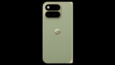 Google Pixel 11 Pro Fold 'Pine' Colour Images Leaked; Know Expected Price, Specs