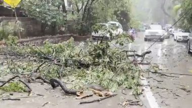 Aamir Khan Wedding: Ambani Family Convoy Briefly Halted After Tree Branches Fall Amid Mumbai Rains (Watch Videos)