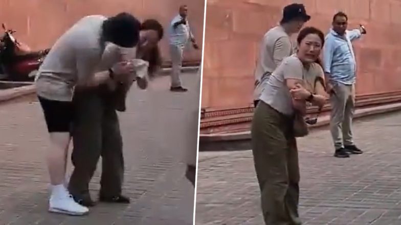Taj Mahal Monkey Attack Video: South Korean Tourist Injured, ASI Seeks Action Over Ambulance Delay