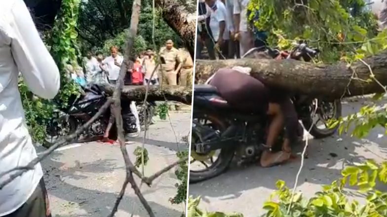 Unnao Rain Tragedy: Tree Falls on Moving Bikes, 1 Killed, 3 Injured (Videos)