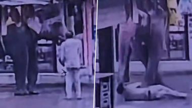 Indore Elephant Attack Video: Autorickshaw Driver Dies After Animal Tramples Him While Feeding Jaggery