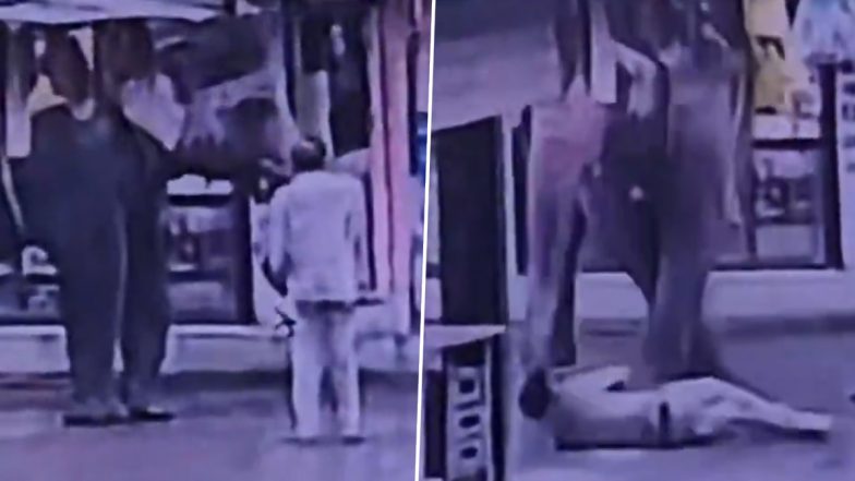 Indore Elephant Attack Video: Autorickshaw Driver Dies After Animal Tramples Him While Feeding Jaggery