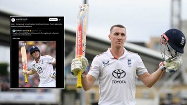 'Nightclubs, Beaches and Police Stations', Iceland Cricket Takes Dig At Harry Brook Over All-Format England Captaincy Ambitions