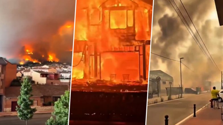 France Weather: Megafire Triggers Rare Fire Clouds, Pyrocumulonimbus Makes Wildfires Harder To Control (Video)