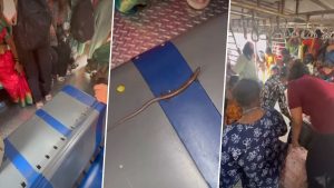 Viral Video Shows Panic in Women’s Train Coach After Skink Is Seen.