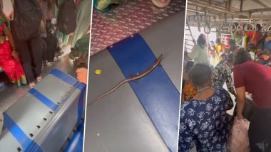 Viral Video Shows Panic in Women&rsquo;s Train Coach After Skink Is Seen