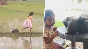 social-viral-Sri Lankan Girl Plays With Wild Porcupine, Civet Cat; Internet Calls Her a Real-Life 'Disney Princess' (Watch Videos)