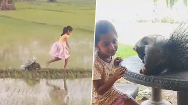 Sri Lankan Girl Plays With Wild Porcupine, Civet Cat; Internet Calls Her a Real-Life 'Disney Princess' (Watch Videos)