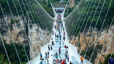 China Glass Bridge Develops Cracks After Teen Pokes Panel With Umbrella