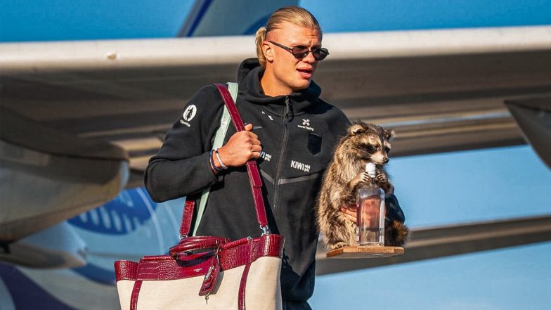 Did Erling Haaland Realy Bring Home Live Raccoon As Pet from America After FIFA World Cup 2026 Exit?