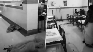 Telangana Hospital Shocker: Woman Delivers Baby Standing Beside Bed As Newborn Suffers Head Injury (Watch Videos)