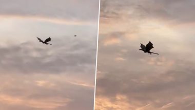 Glasgow &lsquo;Dragon&rsquo; Viral Video: House of the Dragon&rsquo;s Syrax Soars Over City Ahead of Commonwealth Games