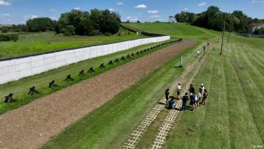 From Death Strip to Nature Haven and Other Green Surprises