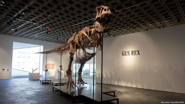 T. Rex 'Gus' Sells for Record-breaking $50.1 Million